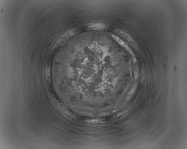 X0000086080365200704091307