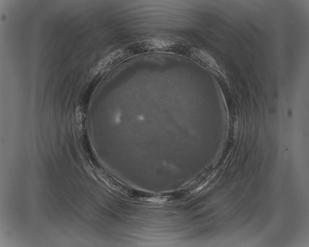 X0000086080366200704091307