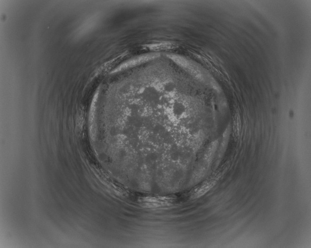 X0000086080367200704091307