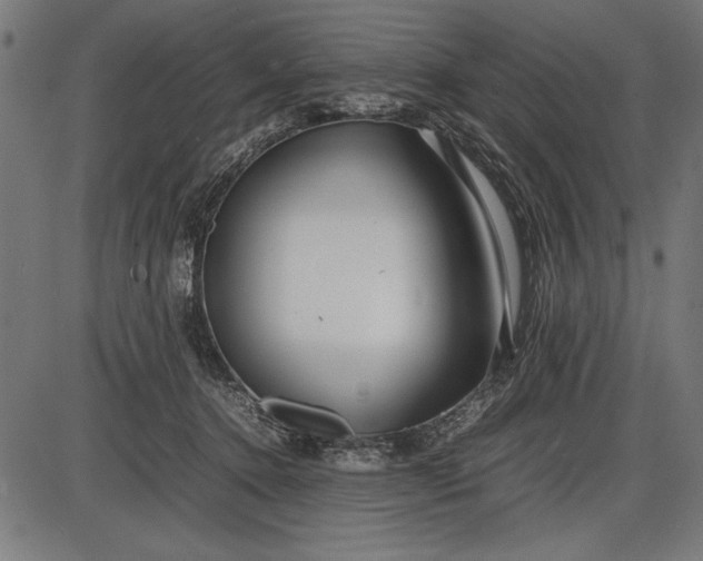 X0000086080368200704091307