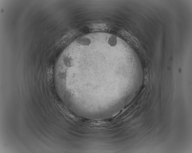 X0000086080369200704091307