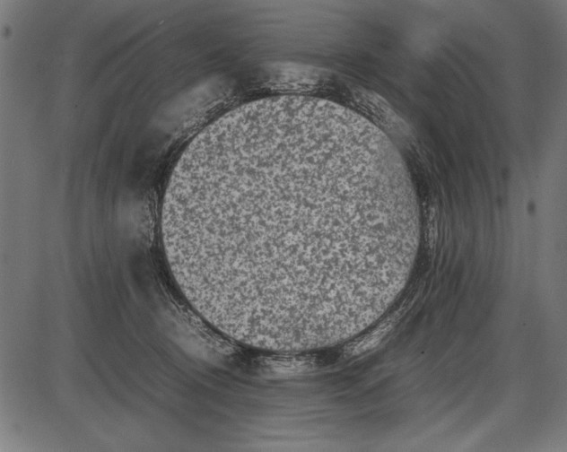 X0000086080370200704091307