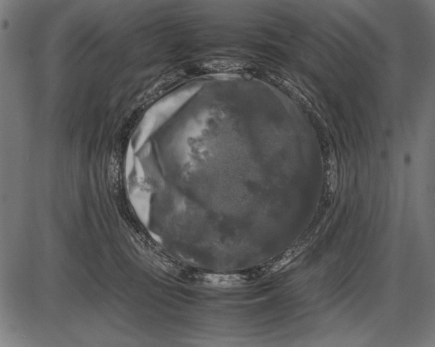 X0000086080371200704091307