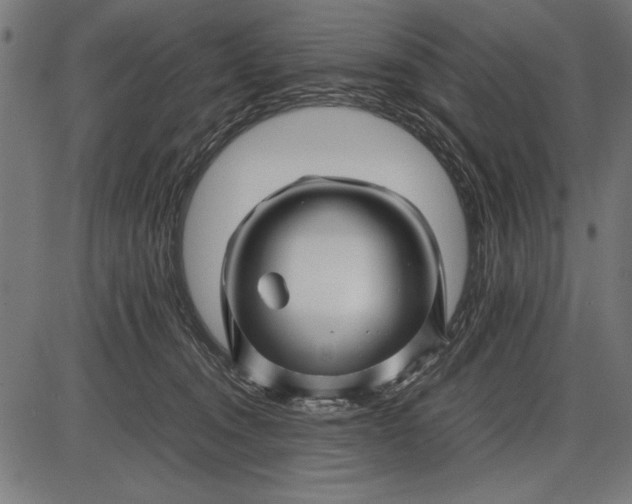 X0000086080372200704091307