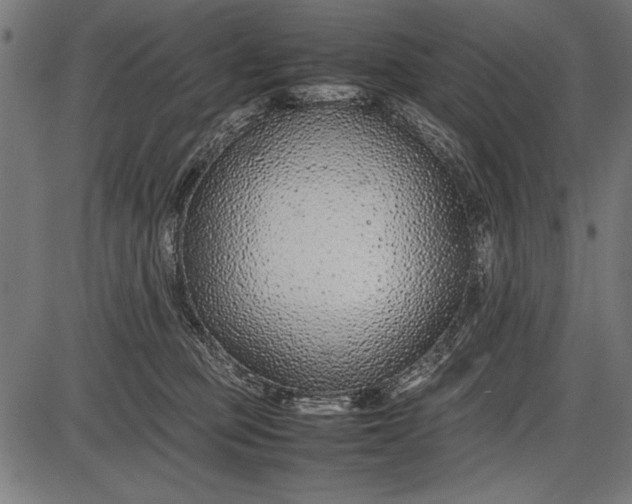 X0000086080373200704091307