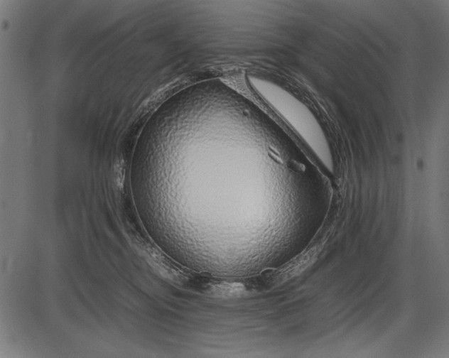 X0000086080374200704091307