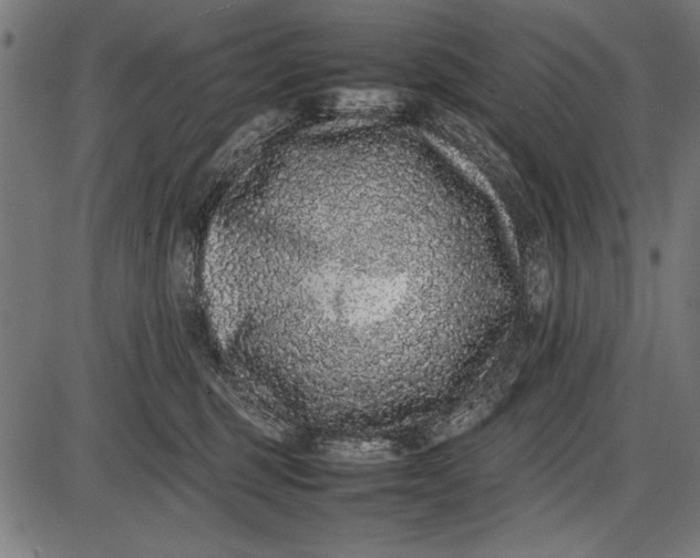 X0000086080375200704091307