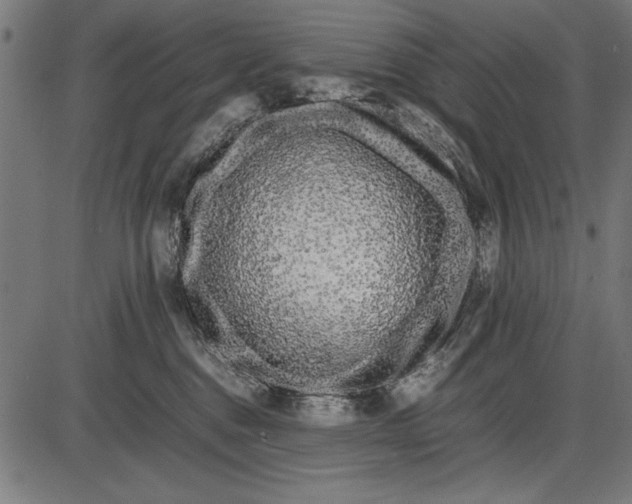 X0000086080376200704091307