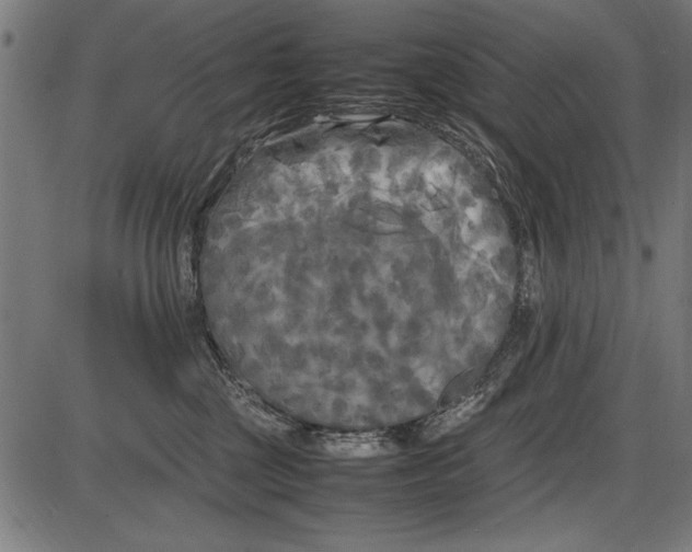 X0000086080377200704091307