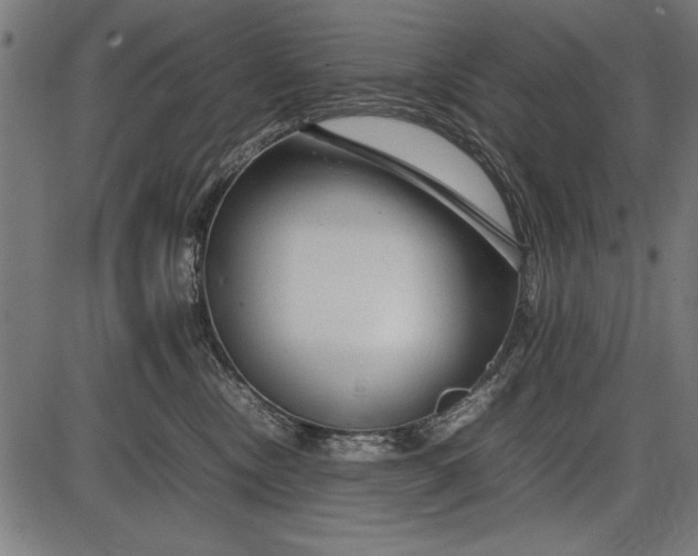 X0000086080378200704091307