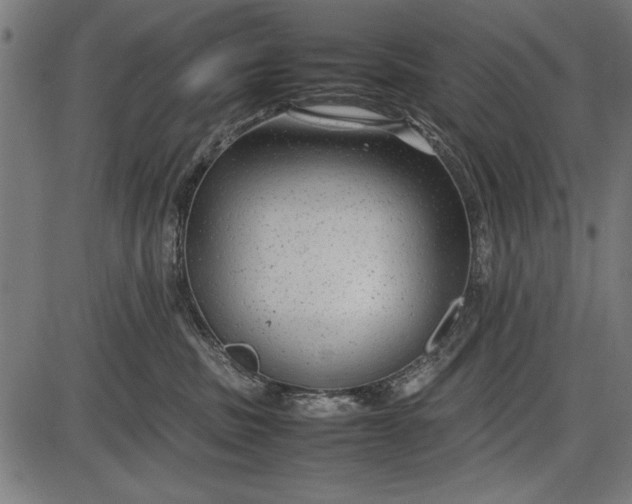 X0000086080379200704091307