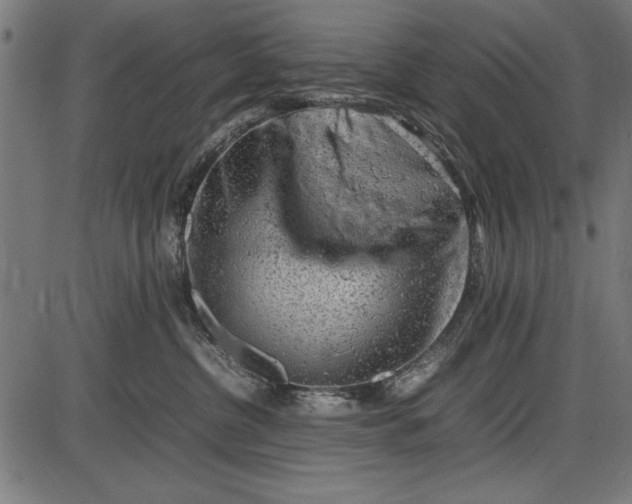 X0000086080380200704091307