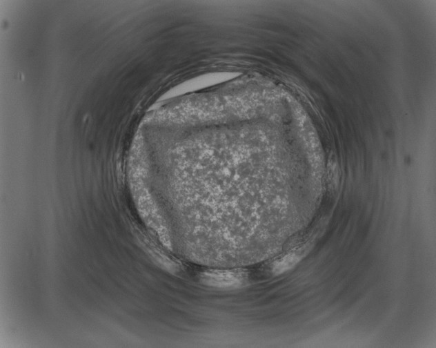 X0000086080381200704091307