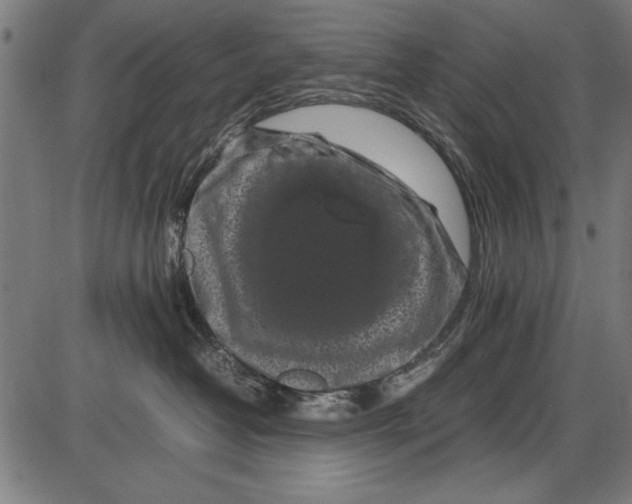 X0000086080382200704091307