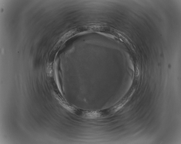 X0000086080383200704091307