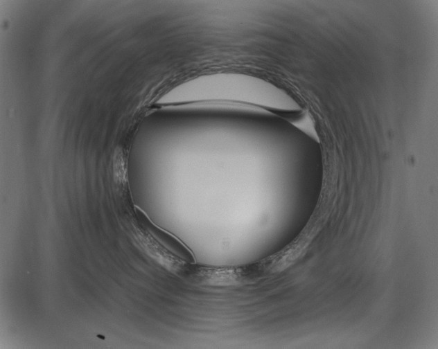 X0000086080384200704091307