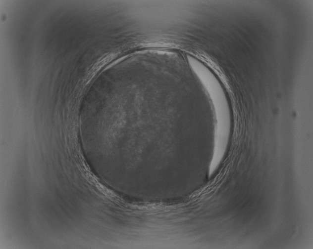 X0000086080385200704091306