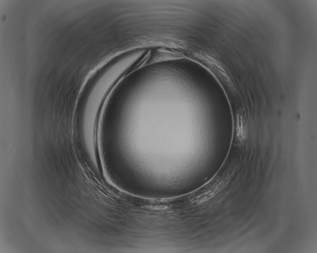 X0000086080388200704091306