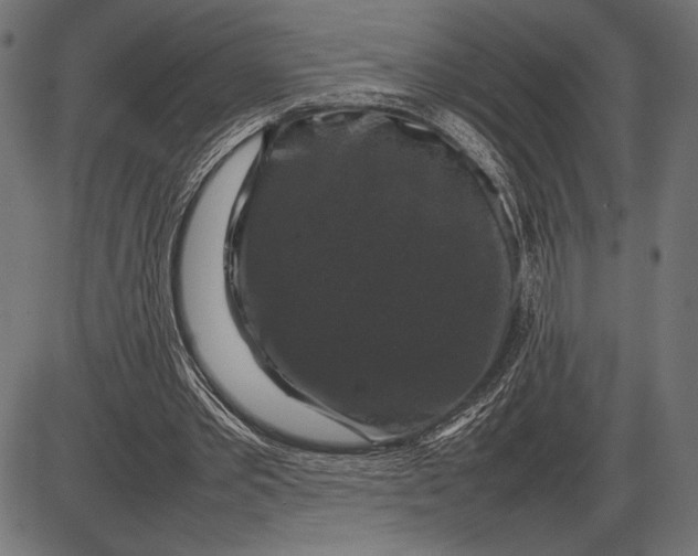 X0000086080389200704091306