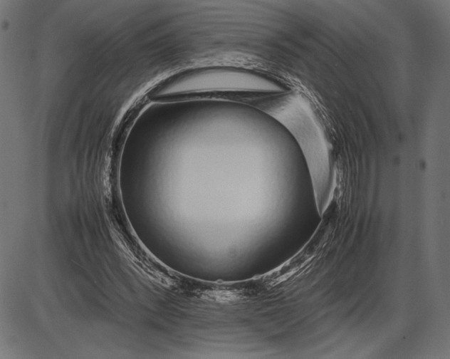 X0000086080392200704091306