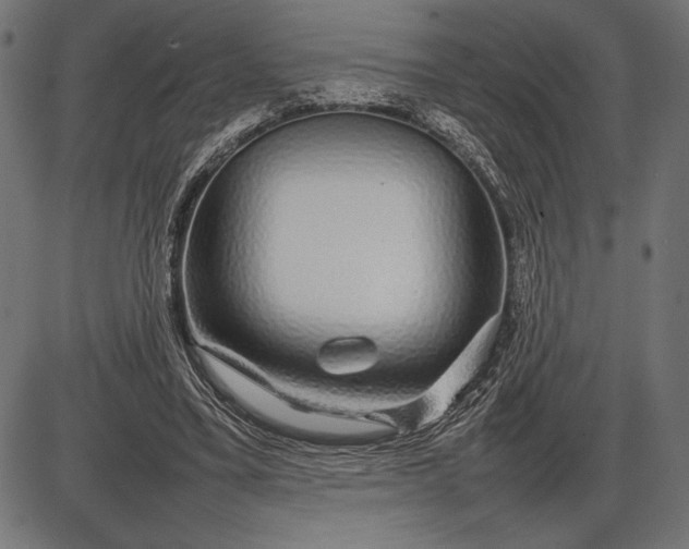 X0000086080395200704091306