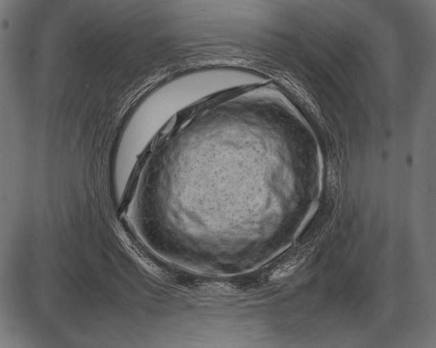 X0000086080397200704091306