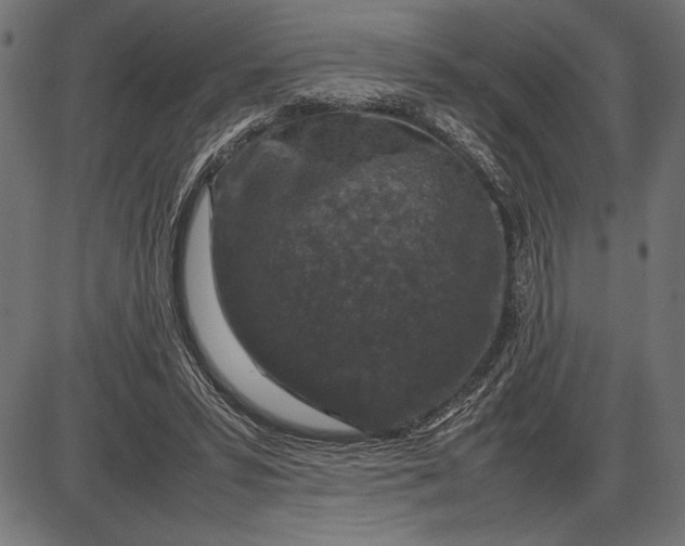 X0000086080399200704091306