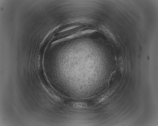 X0000086080400200704091306