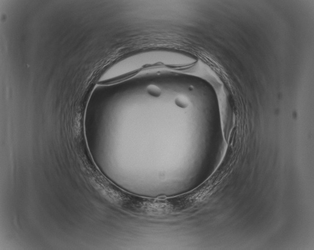 X0000086080401200704091306