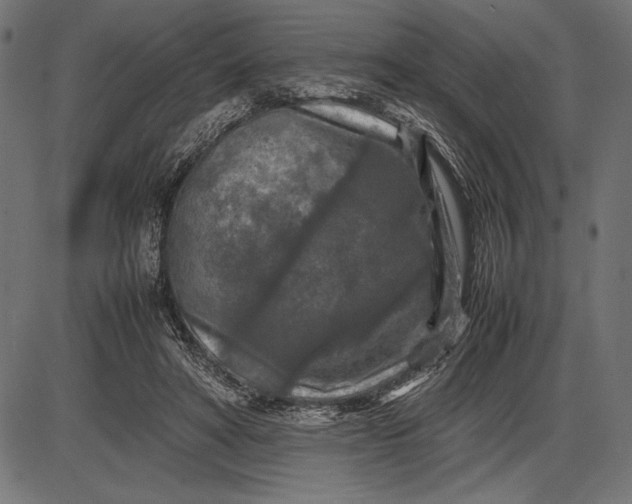 X0000086080402200704091306