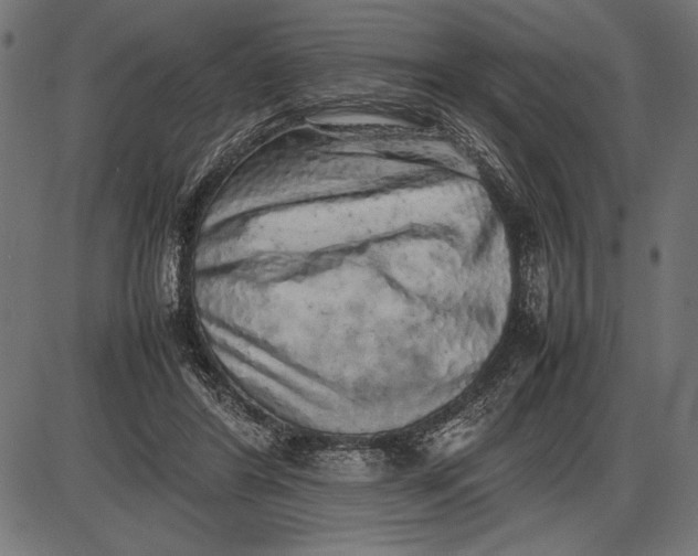 X0000086080404200704091306