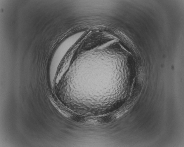 X0000086080405200704091306