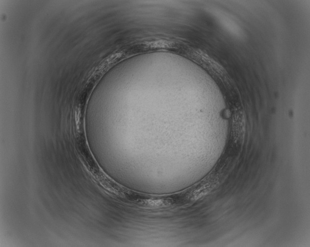 X0000086080406200704091306