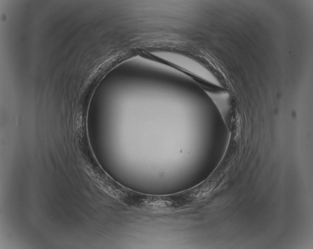 X0000086080407200704091306