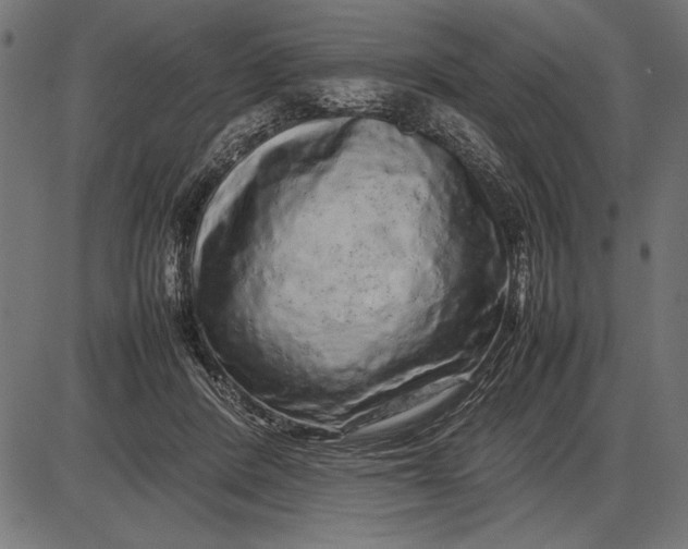 X0000086080408200704091306