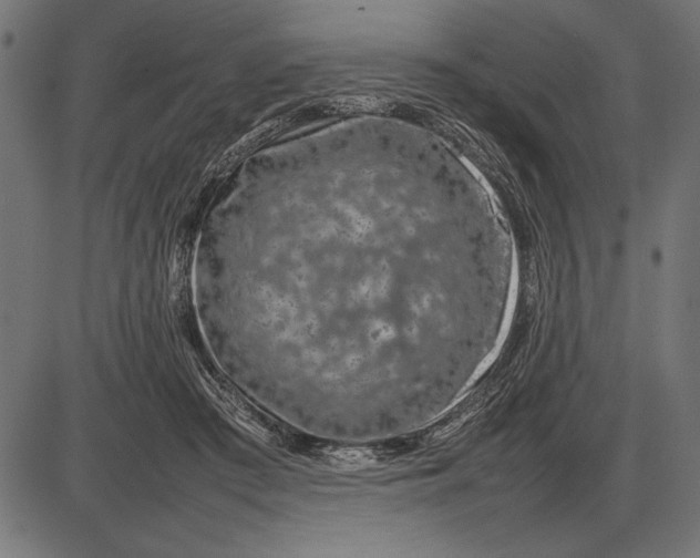 X0000086080409200704091306