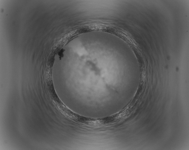 X0000086080411200704091306