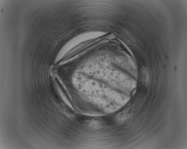 X0000086080412200704091306