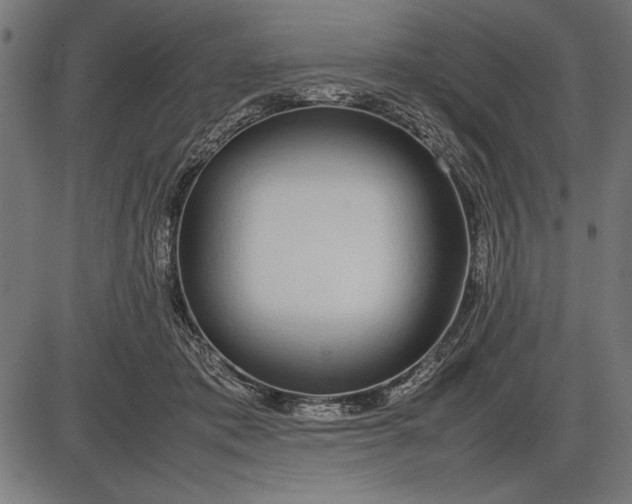 X0000086080413200704091306