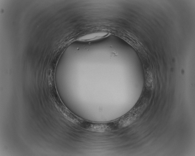 X0000086080414200704091306