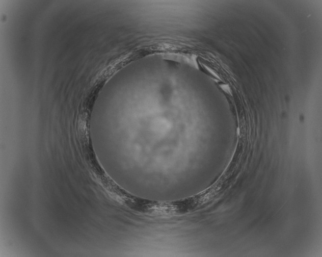 X0000086080415200704091306