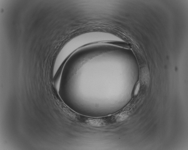 X0000086080417200704091306