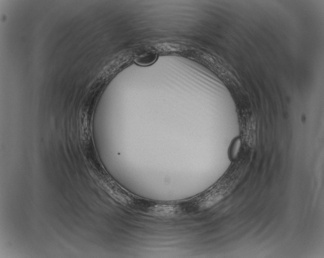 X0000086080418200704091306