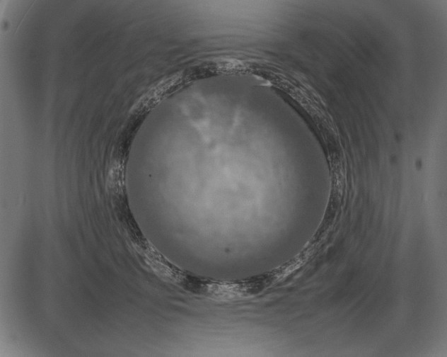 X0000086080419200704091306