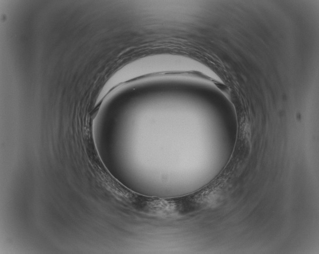 X0000086080421200704091306