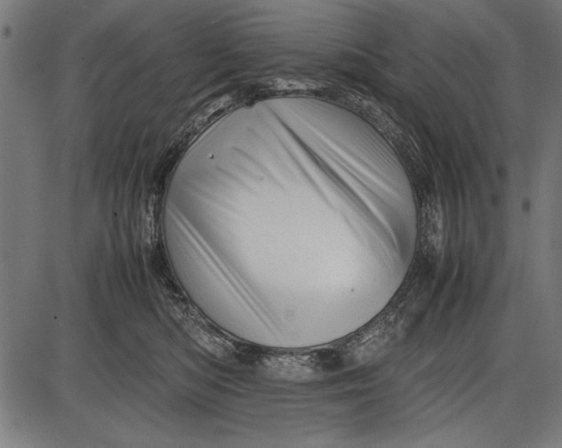 X0000086080422200704091306