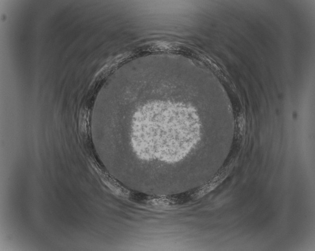 X0000086080423200704091306