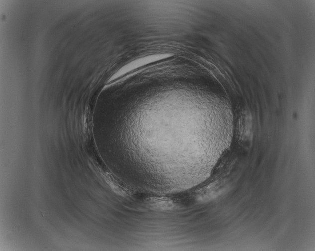 X0000086080424200704091306