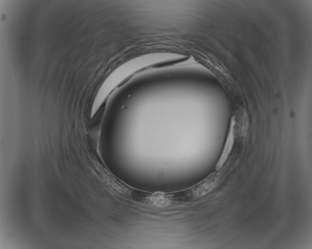 X0000086080425200704091306