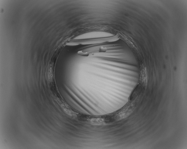 X0000086080426200704091306